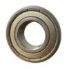 6413-ZZ Budget Shielded Ball Bearing